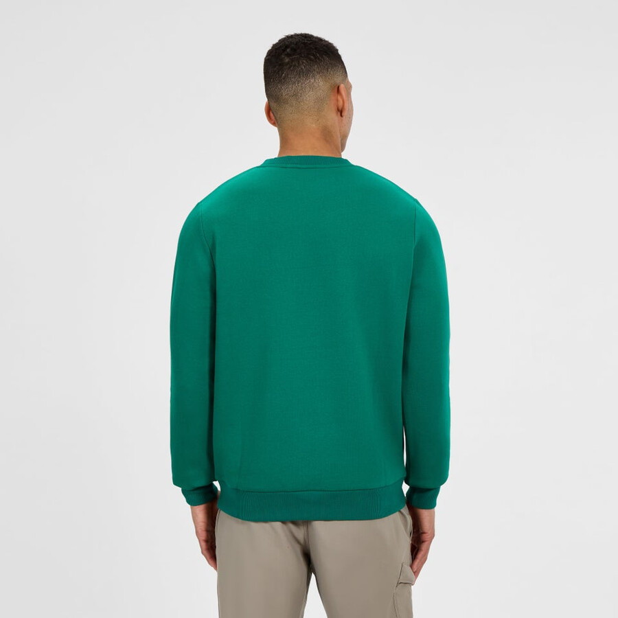 mens logo crew sweater - green berghaus